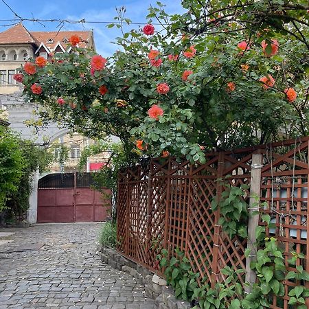 City Garden Apartments Βουκουρέστι Εξωτερικό φωτογραφία