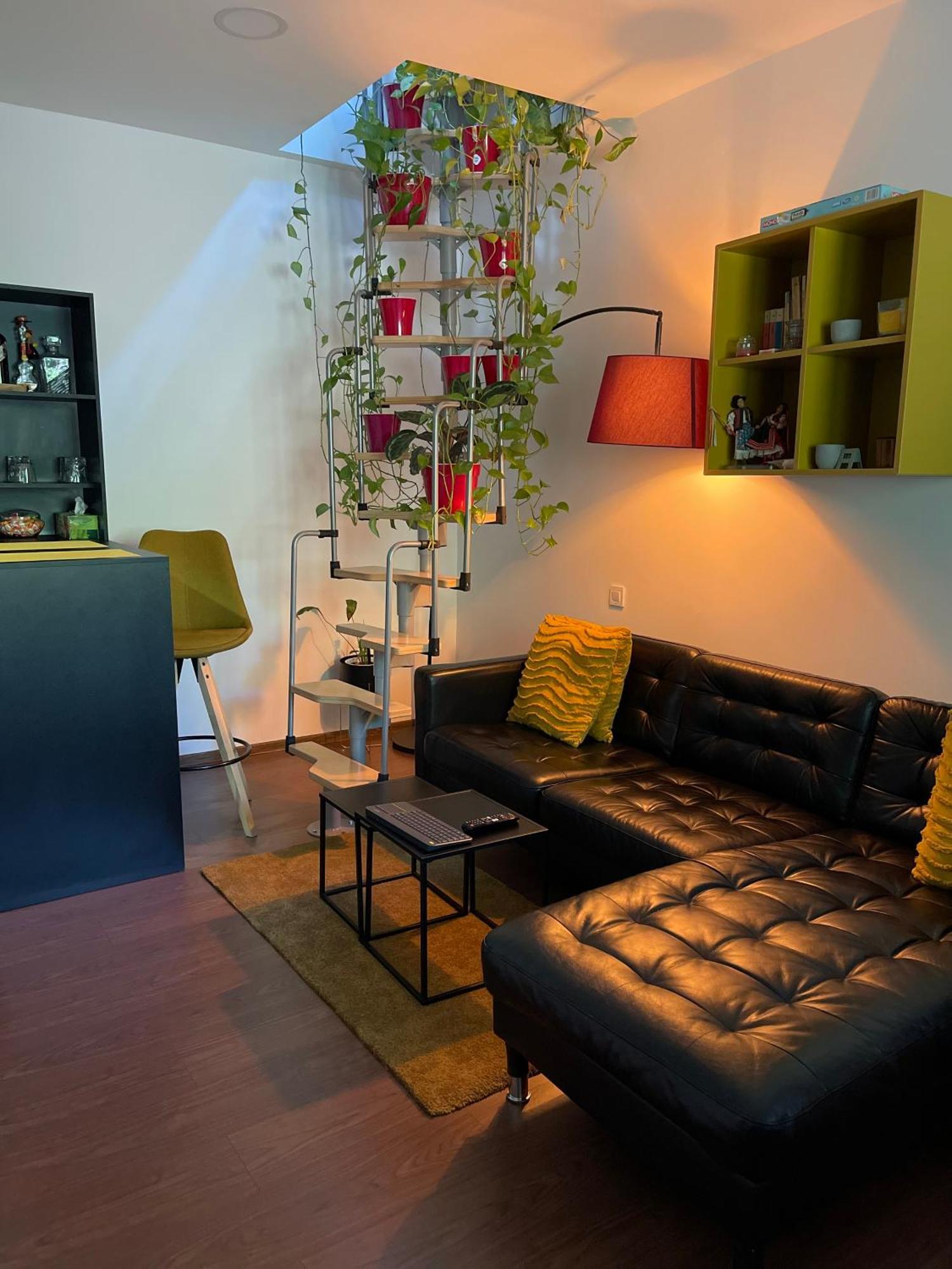 City Garden Apartments Βουκουρέστι Εξωτερικό φωτογραφία