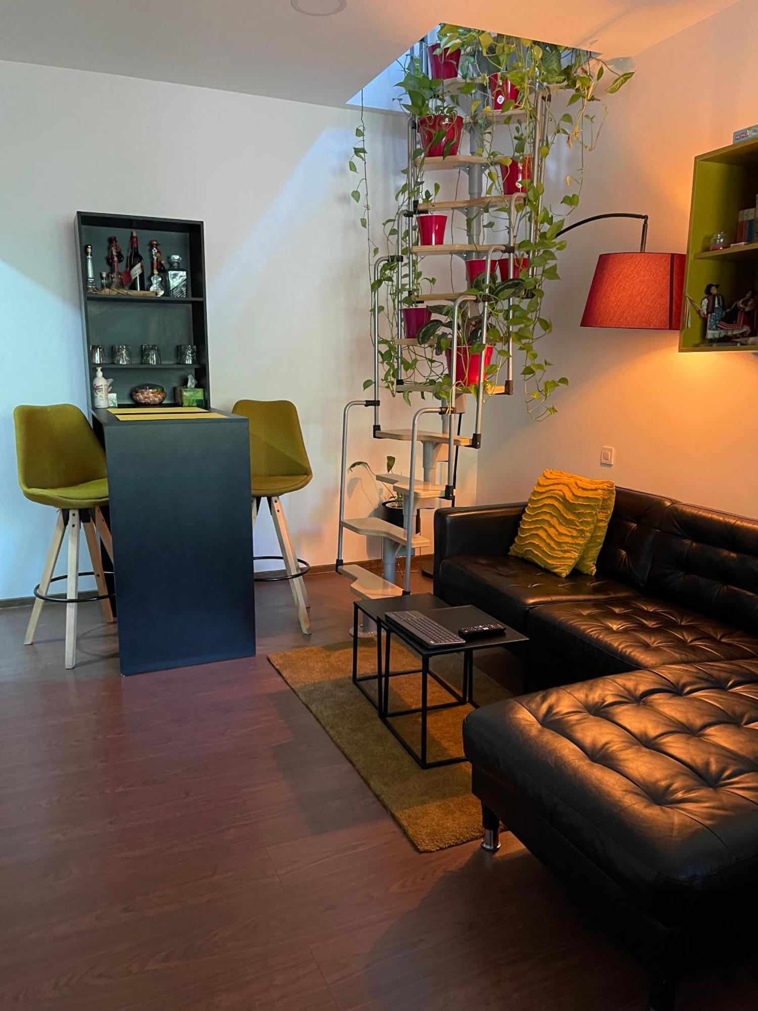 City Garden Apartments Βουκουρέστι Εξωτερικό φωτογραφία
