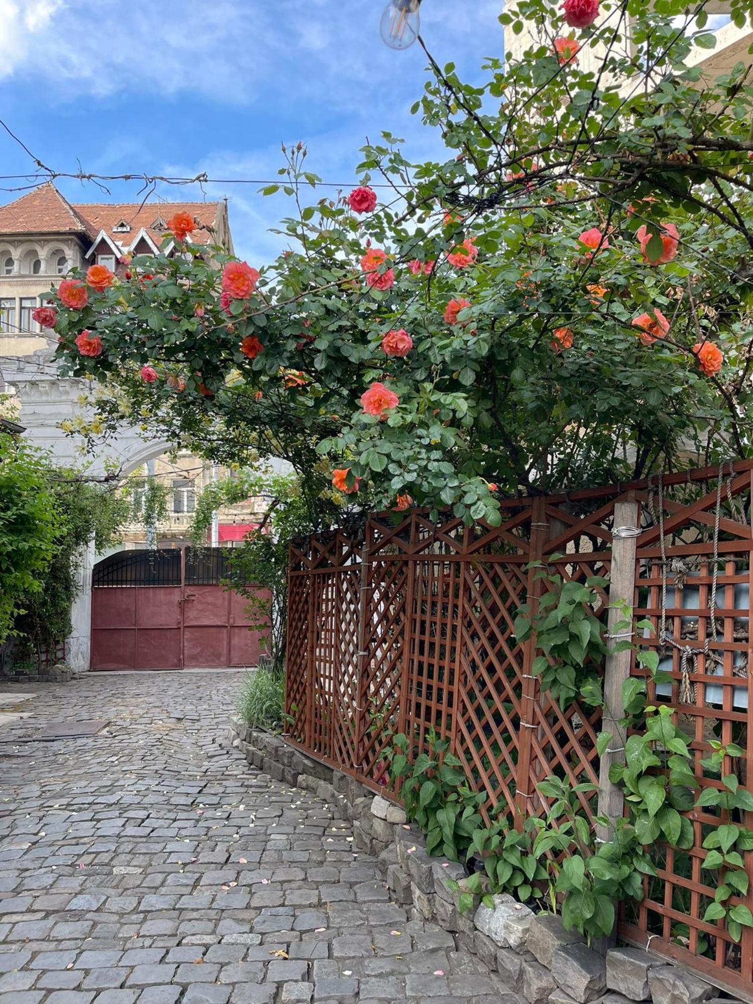 City Garden Apartments Βουκουρέστι Εξωτερικό φωτογραφία
